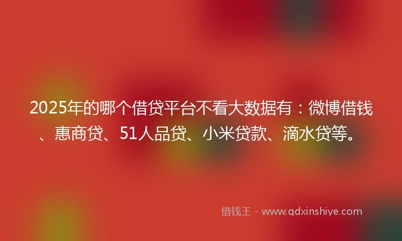 2025年的哪个借贷平台不看大数据有：微博借钱、惠商贷、51人品贷、小米贷款、滴水贷等。