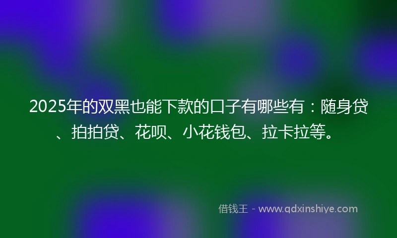 2025年的双黑也能下款的口子有哪些有：随身贷、拍拍贷、花呗、小花钱包、拉卡拉等。