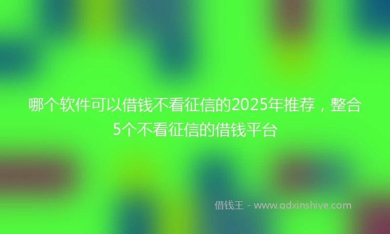 哪个软件可以借钱不看征信的2025年推荐，整合5个不看征信的借钱平台