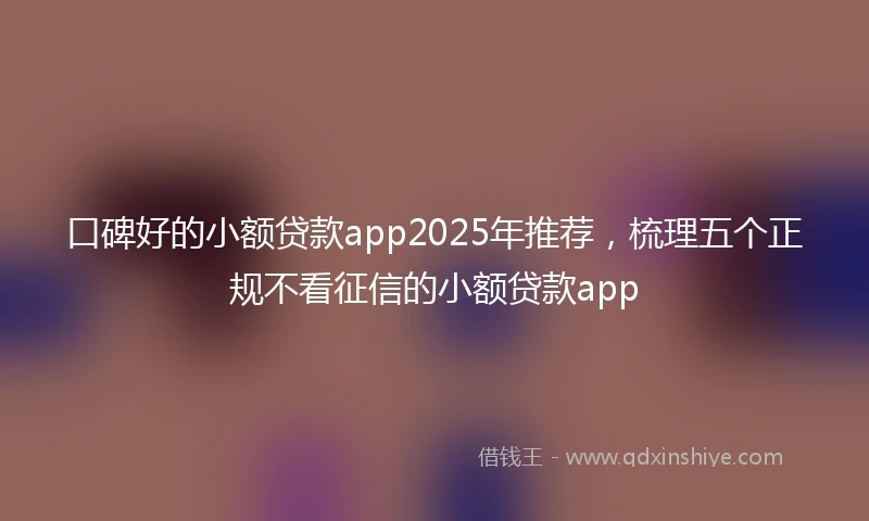 口碑好的小额贷款app2025年推荐,梳理五个正规不看征信的小额贷款app