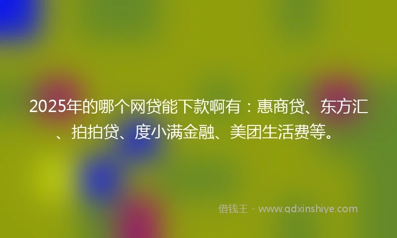 2025年的哪个网贷能下款啊有：惠商贷、东方汇、拍拍贷、度小满金融、美团生活费等。