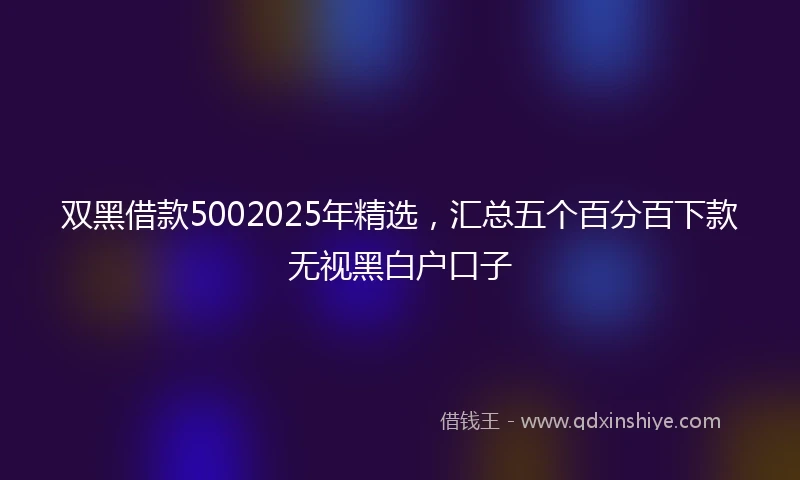 双黑借款5002025年精选，汇总五个百分百下款无视黑白户口子