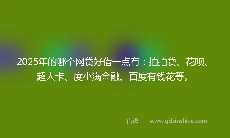 2025年的哪个网贷好借一点有：拍拍贷、花呗、超人卡、度小满金融、百度有钱花等。