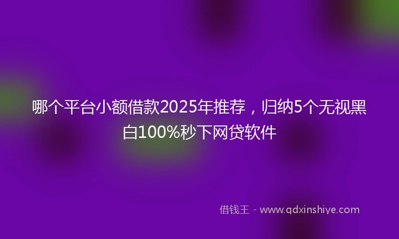 哪个平台小额借款2025年推荐，归纳5个无视黑白100%秒下网贷软件