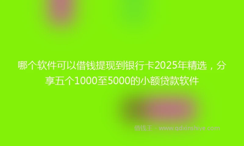 哪个软件可以借钱提现到银行卡2025年精选，分享五个1000至5000的小额贷款软件
