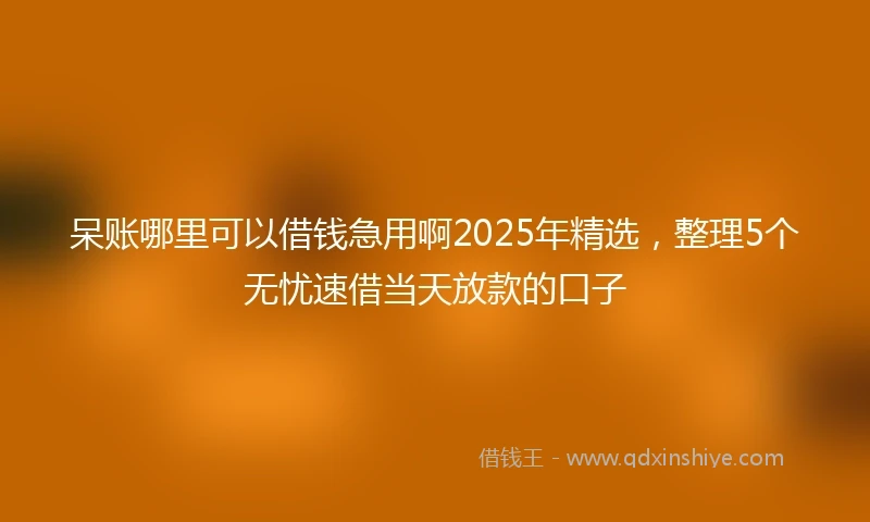 呆账哪里可以借钱急用啊2025年精选，整理5个无忧速借当天放款的口子