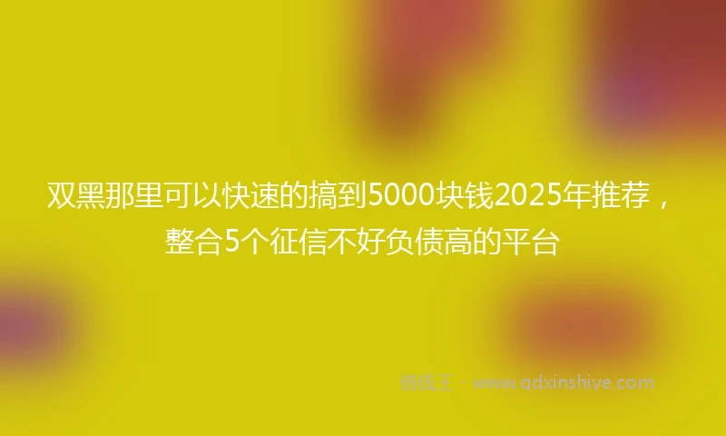 双黑那里可以快速的搞到5000块钱2025年推荐，整合5个征信不好负债高的平台