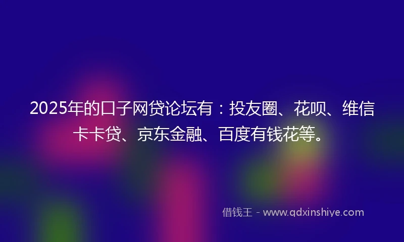 2025年的口子网贷论坛有：投友圈、花呗、维信卡卡贷、京东金融、百度有钱花等。