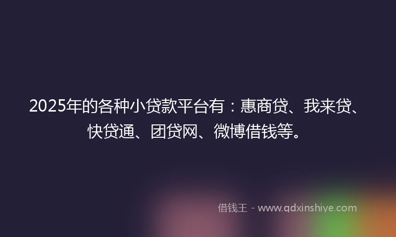 2025年的各种小贷款平台有：惠商贷、我来贷、快贷通、团贷网、微博借钱等。