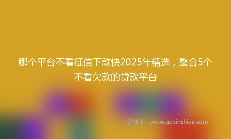 哪个平台不看征信下款快2025年精选，整合5个不看欠款的贷款平台