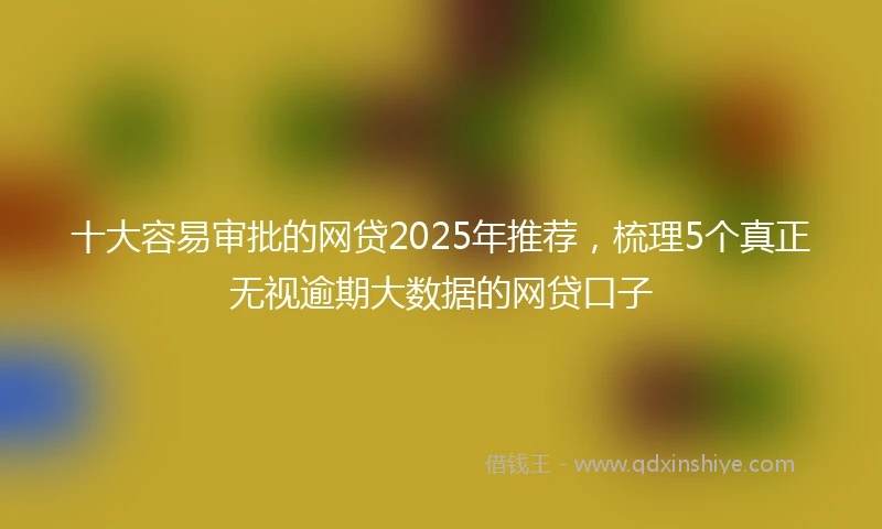 十大容易审批的网贷2025年推荐，梳理5个真正无视逾期大数据的网贷口子