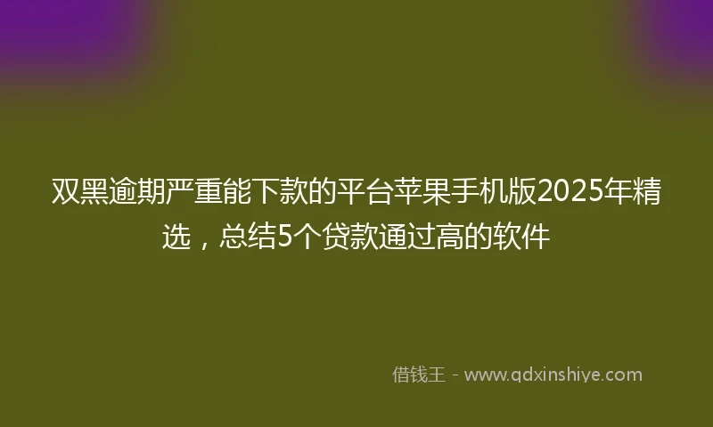 双黑逾期严重能下款的平台苹果手机版2025年精选，总结5个贷款通过高的软件