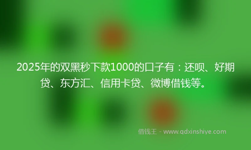 2025年的双黑秒下款1000的口子有：还呗、好期贷、东方汇、信用卡贷、微博借钱等。