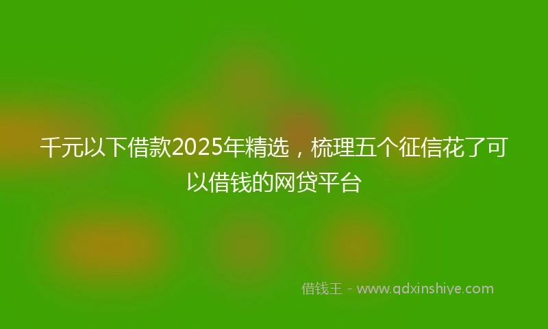 千元以下借款2025年精选，梳理五个征信花了可以借钱的网贷平台
