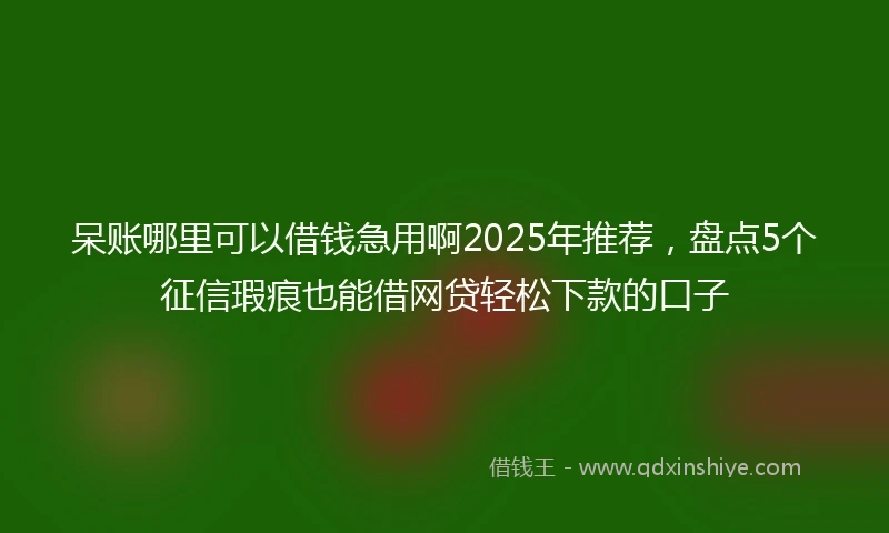 呆账哪里可以借钱急用啊2025年推荐，盘点5个征信瑕疵也能借网贷轻松下款的口子