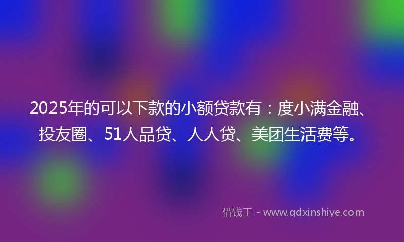 2025年的可以下款的小额贷款有：度小满金融、投友圈、51人品贷、人人贷、美团生活费等。
