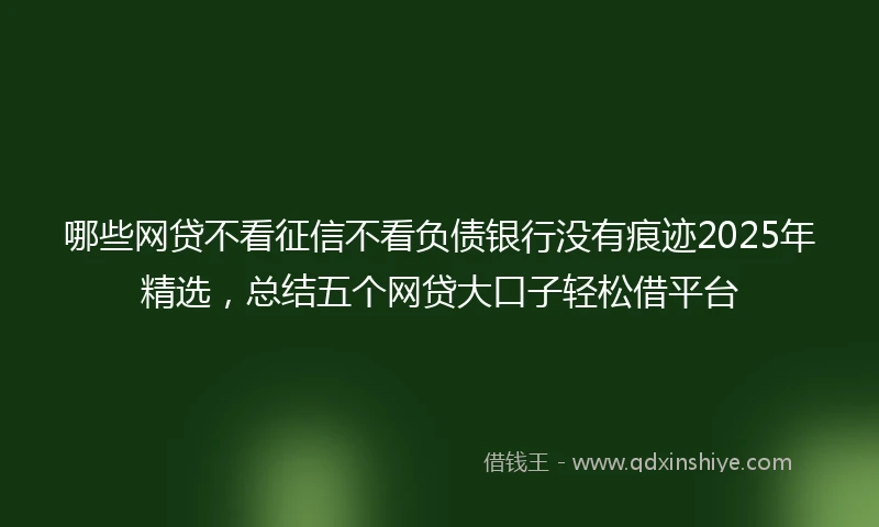 哪些网贷不看征信不看负债银行没有痕迹2025年精选，总结五个网贷大口子轻松借平台