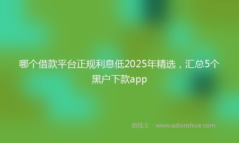 哪个借款平台正规利息低2025年精选，汇总5个黑户下款app