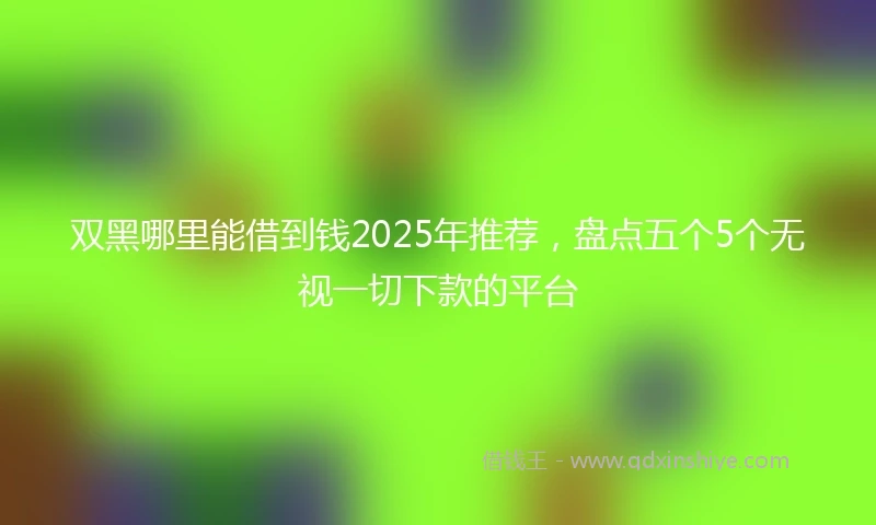 双黑哪里能借到钱2025年推荐，盘点五个5个无视一切下款的平台