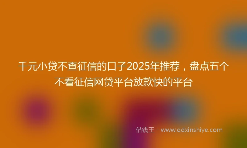 千元小贷不查征信的口子2025年推荐，盘点五个不看征信网贷平台放款快的平台