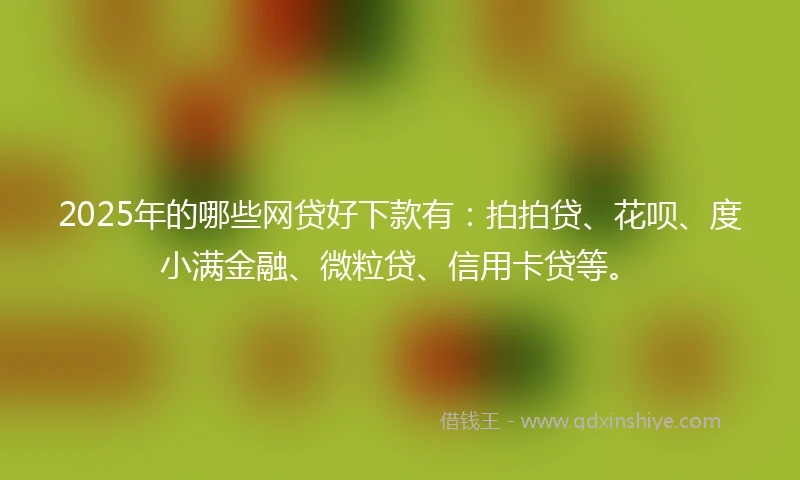 2025年的哪些网贷好下款有：拍拍贷、花呗、度小满金融、微粒贷、信用卡贷等。