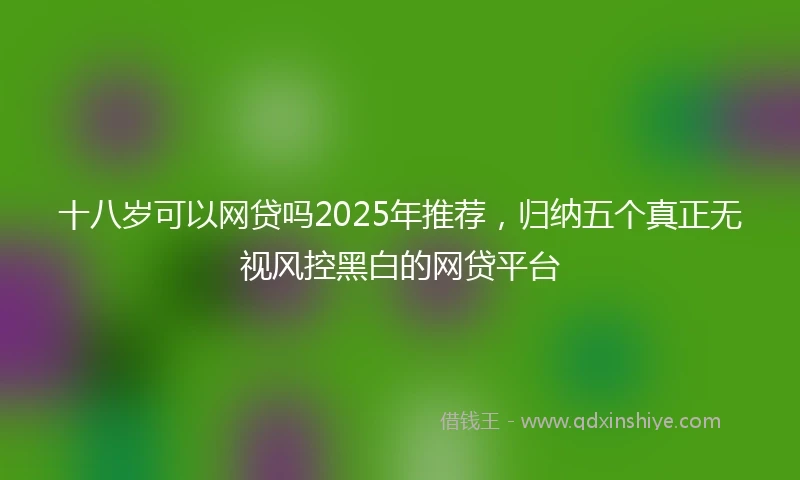 十八岁可以网贷吗2025年推荐，归纳五个真正无视风控黑白的网贷平台