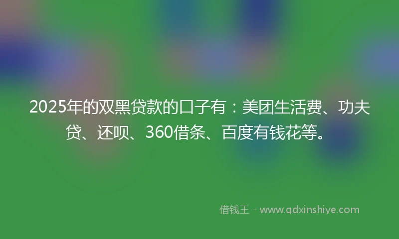 2025年的双黑贷款的口子有：美团生活费、功夫贷、还呗、360借条、百度有钱花等。
