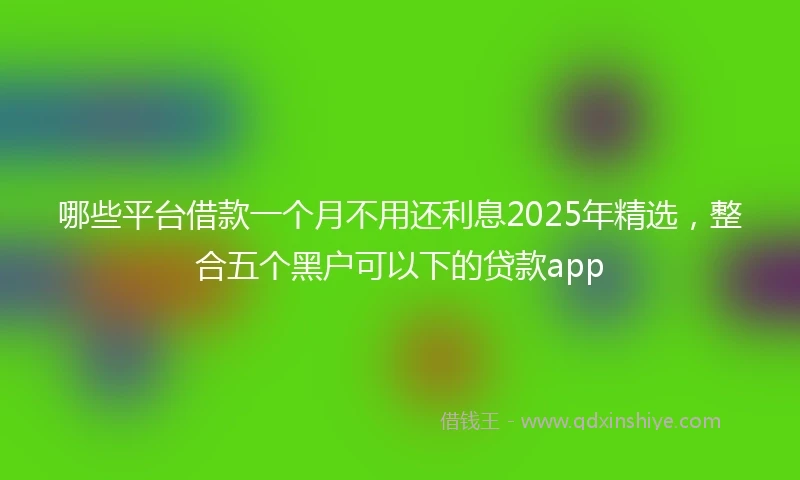哪些平台借款一个月不用还利息2025年精选，整合五个黑户可以下的贷款app