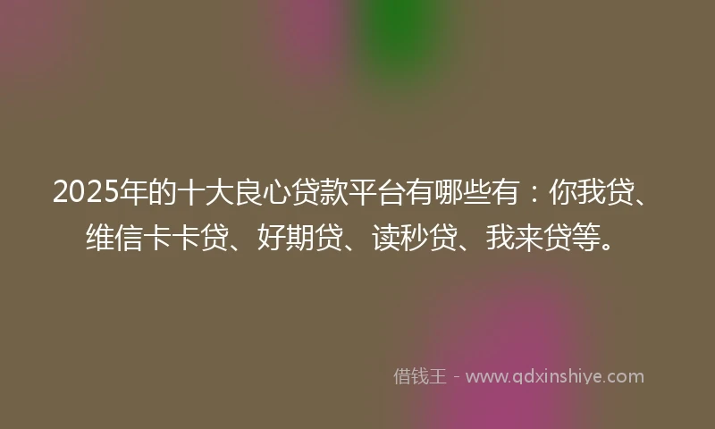 2025年的十大良心贷款平台有哪些有：你我贷、维信卡卡贷、好期贷、读秒贷、我来贷等。