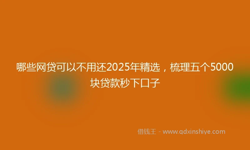 哪些网贷可以不用还2025年精选，梳理五个5000块贷款秒下口子