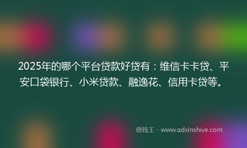 2025年的哪个平台贷款好贷有：维信卡卡贷、平安口袋银行、小米贷款、融逸花、信用卡贷等。