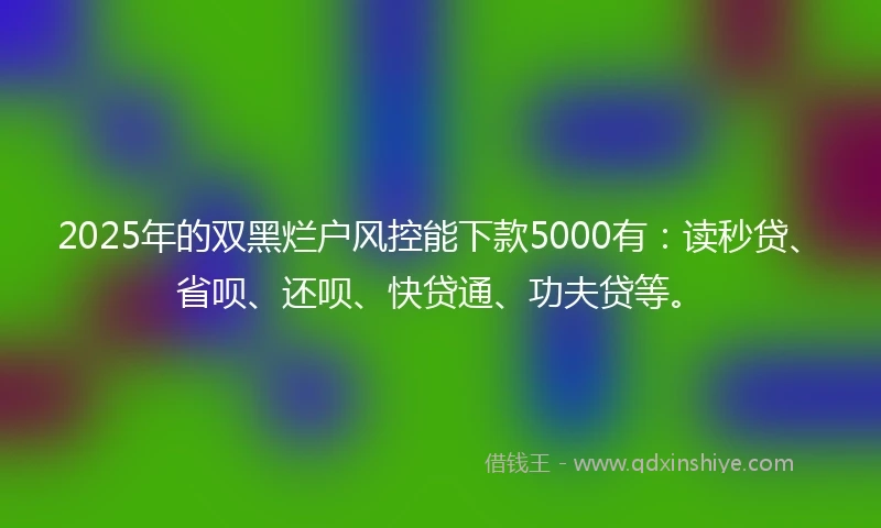 2025年的双黑烂户风控能下款5000有：读秒贷、省呗、还呗、快贷通、功夫贷等。