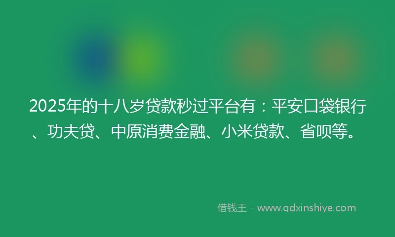 2025年的十八岁贷款秒过平台有：平安口袋银行、功夫贷、中原消费金融、小米贷款、省呗等。