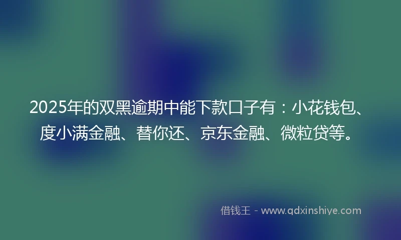 2025年的双黑逾期中能下款口子有：小花钱包、度小满金融、替你还、京东金融、微粒贷等。