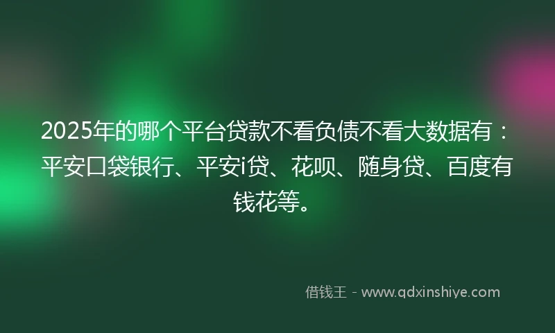 2025年的哪个平台贷款不看负债不看大数据有：平安口袋银行、平安i贷、花呗、随身贷、百度有钱花等。