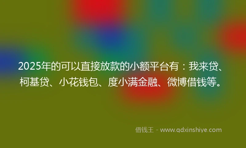 2025年的可以直接放款的小额平台有：我来贷、柯基贷、小花钱包、度小满金融、微博借钱等。