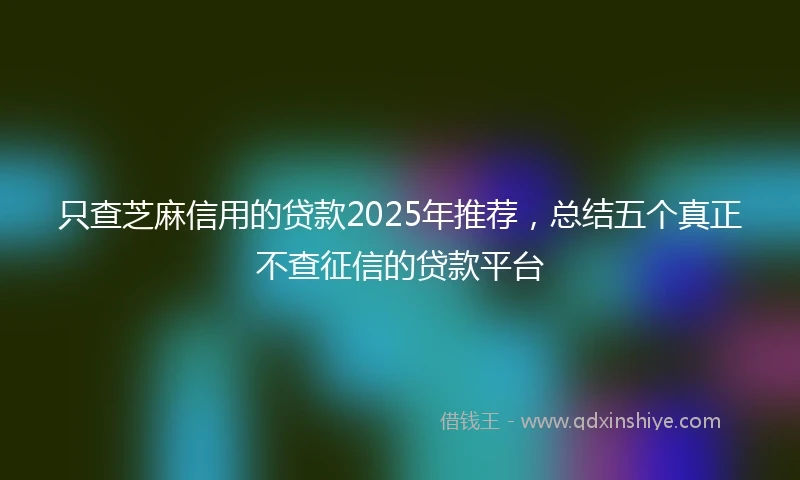只查芝麻信用的贷款2025年推荐，总结五个真正不查征信的贷款平台