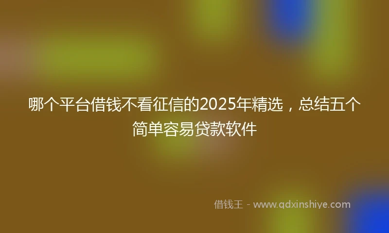 哪个平台借钱不看征信的2025年精选，总结五个简单容易贷款软件