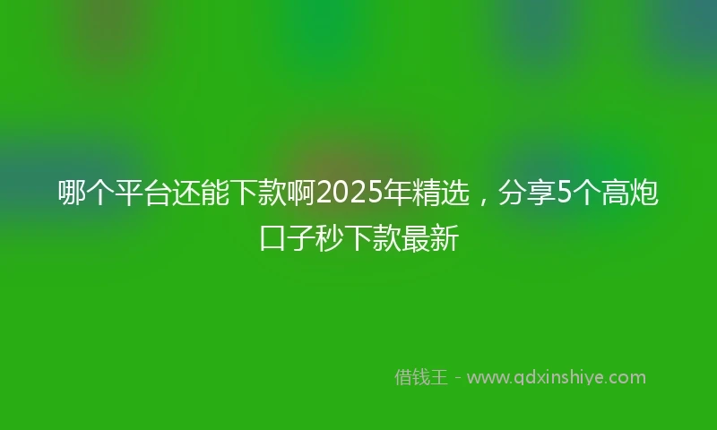 哪个平台还能下款啊2025年精选，分享5个高炮口子秒下款最新