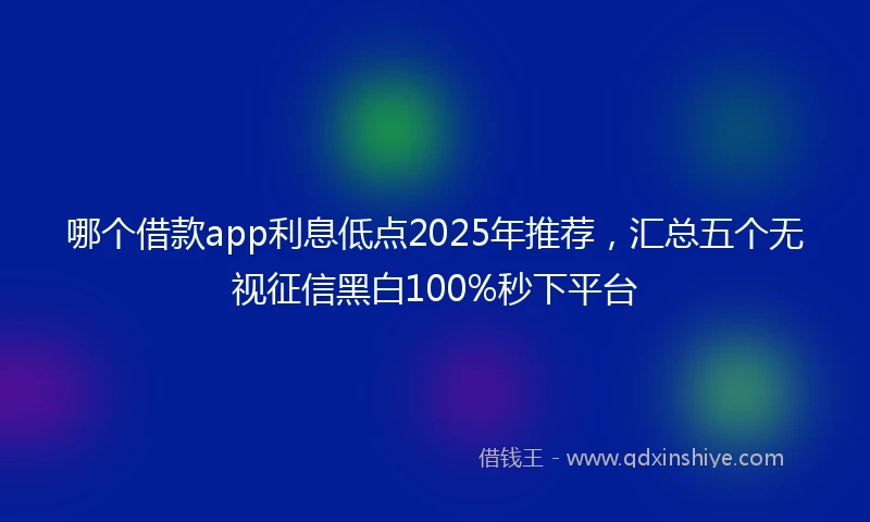 哪个借款app利息低点2025年推荐，汇总五个无视征信黑白100%秒下平台