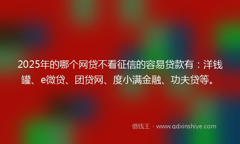 2025年的哪个网贷不看征信的容易贷款有：洋钱罐、e微贷、团贷网、度小满金融、功夫贷等。