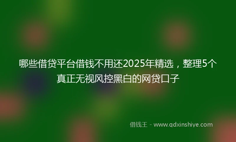 哪些借贷平台借钱不用还2025年精选，整理5个真正无视风控黑白的网贷口子