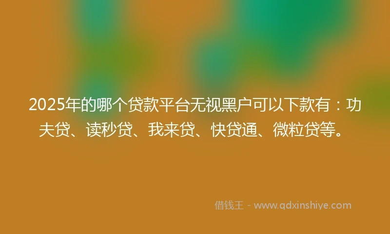 2025年的哪个贷款平台无视黑户可以下款有：功夫贷、读秒贷、我来贷、快贷通、微粒贷等。