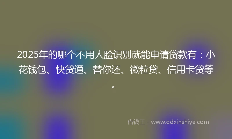 2025年的哪个不用人脸识别就能申请贷款有：小花钱包、快贷通、替你还、微粒贷、信用卡贷等。