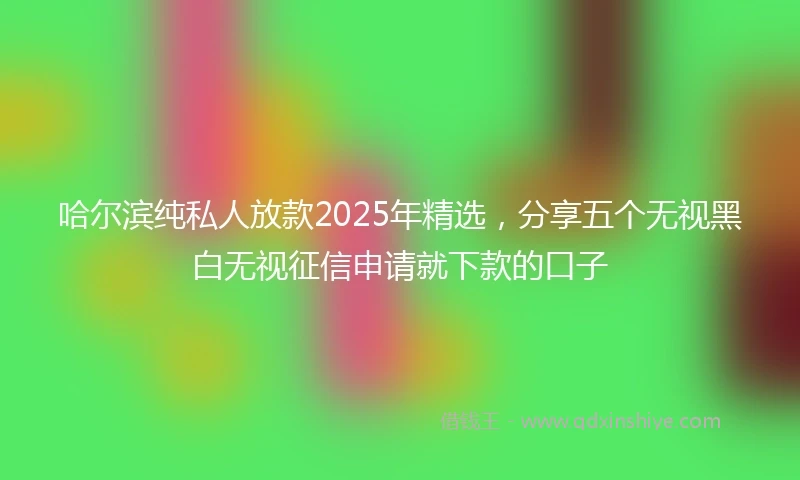 哈尔滨纯私人放款2025年精选，分享五个无视黑白无视征信申请就下款的口子