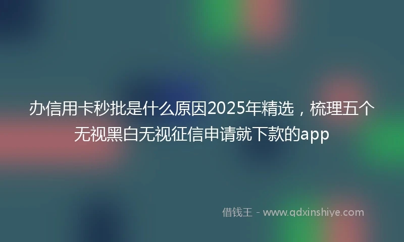 办信用卡秒批是什么原因2025年精选，梳理五个无视黑白无视征信申请就下款的app
