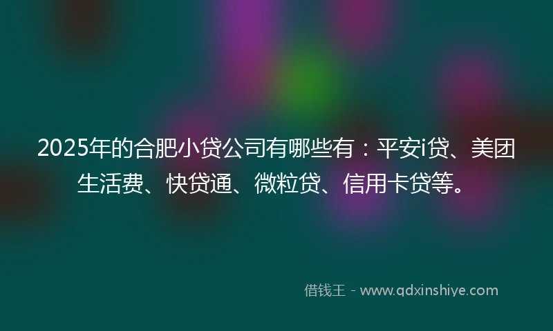 2025年的合肥小贷公司有哪些有：平安i贷、美团生活费、快贷通、微粒贷、信用卡贷等。