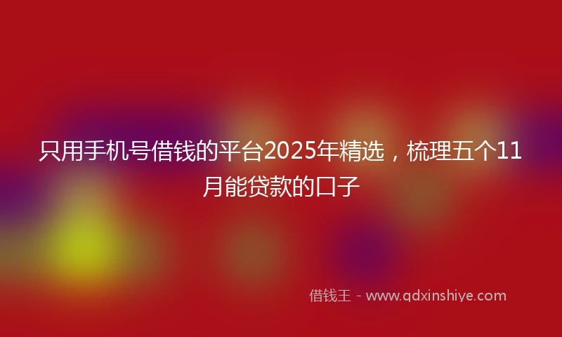 只用手机号借钱的平台2025年精选，梳理五个11月能贷款的口子