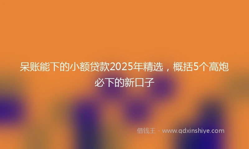 呆账能下的小额贷款2025年精选，概括5个高炮必下的新口子