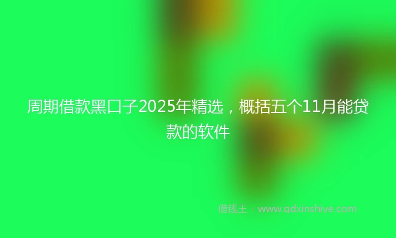 周期借款黑口子2025年精选，概括五个11月能贷款的软件